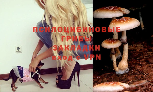 прущий лед Абдулино